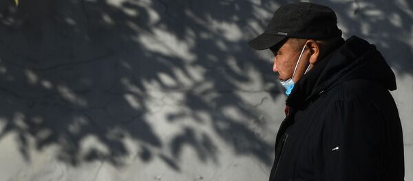 Көчөдө бараткан адам. Архив - Sputnik Кыргызстан