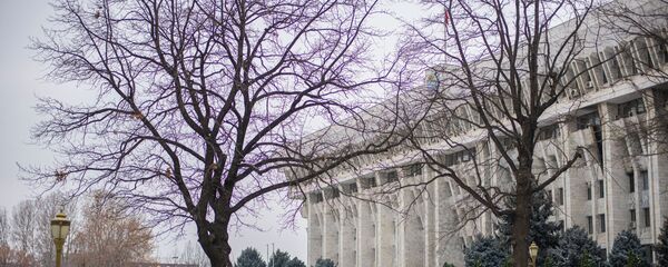 Здание белого дома (Жогорку Кенеша) в Бишкеке. Архивное фото - Sputnik Кыргызстан