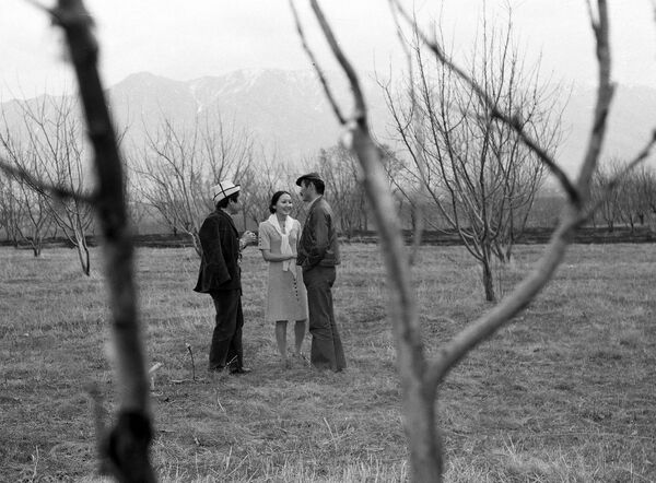 Фотография известного режиссера Толомуша Океева, именитого актера Суймонкула Чокморова и актрисы Гулсары Ажыбековой была снята в 1975 году в Чуйской области - Sputnik Кыргызстан
