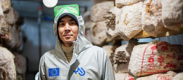 Бизнесмен Эрмек Джусумбеков - Sputnik Кыргызстан