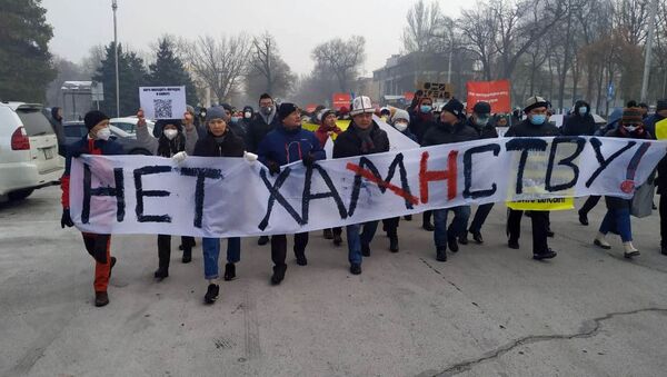 Митинг в защиту действующей Конституции в Бишкеке - Sputnik Кыргызстан
