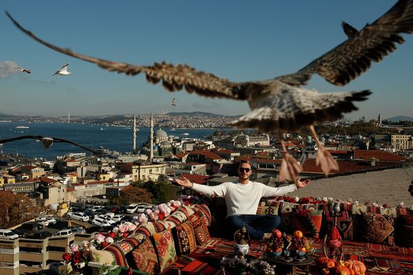 Түркиянын Стамбул шаарында Босфордун фонундагы кафеде отурган кишинин үстүнөн чайка учуп өтүүдө - Sputnik Кыргызстан
