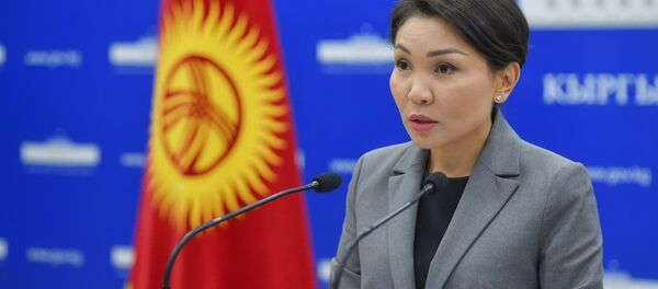 Вице-премьер Эльвира Сурабалдиева брифинг учурунда  - Sputnik Кыргызстан