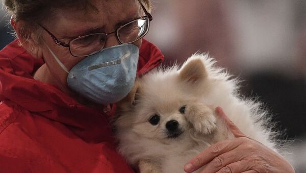 Женщина с собакой на руках. Архивное фото - Sputnik Кыргызстан