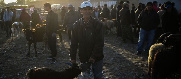 Мал базар. Архив - Sputnik Кыргызстан