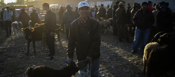 Мал базар. Архив - Sputnik Кыргызстан