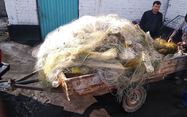 Отмечается, что синтетические сети были китайского производства. Собранные рыболовные сети доставлены для сжигания в котельную Каракола - Sputnik Кыргызстан
