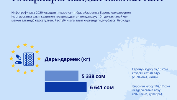 Валюта рыногундагы олку-солкулуктан КРде Европа товарлары кандай кымбаттайт - Sputnik Кыргызстан
