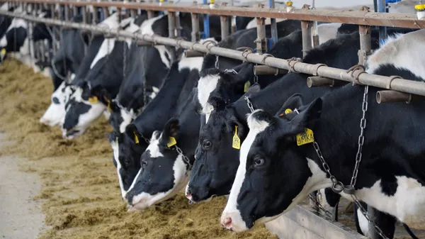 Иллюстративдик сүрөт - Sputnik Кыргызстан