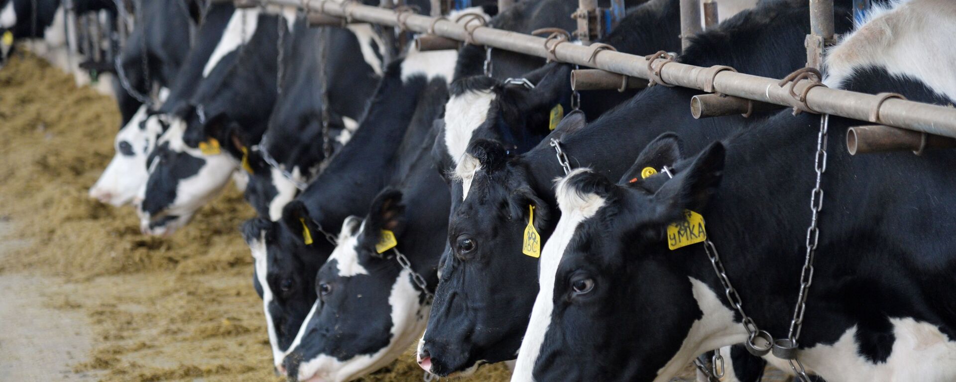 Иллюстративдик сүрөт - Sputnik Кыргызстан, 1920, 04.04.2026