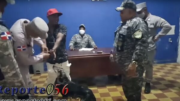 Собака явилась в полицейский участок и попросила отпустить хозяина. Видео - Sputnik Кыргызстан