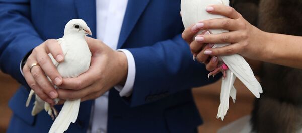 Голуби в руках молодоженов. Архивное фото - Sputnik Кыргызстан
