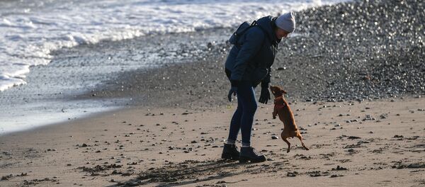 Женщина гуляет с собакой по набережной. Архивное фото - Sputnik Кыргызстан