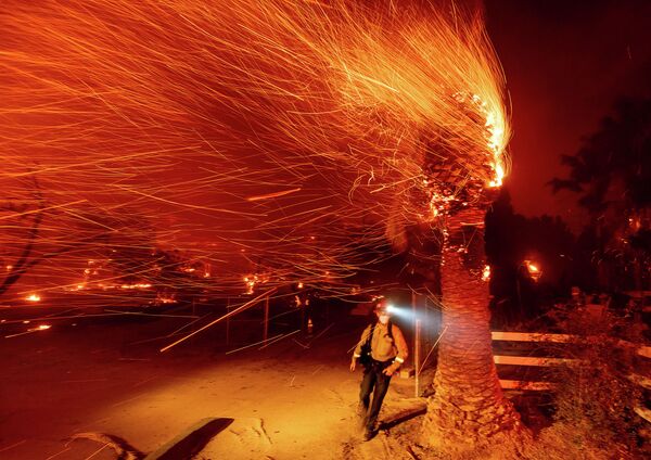 Эвакуация из-за лесных пожаров в Калифорнии - Sputnik Кыргызстан