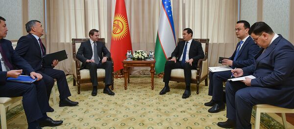Премьер-министрдин милдетин аткаруучу Артем Новиков Өзбекстандын өкмөт башчысынын орун басары, инвестиция жана тышкы соода министри Сардор Умурзаков менен жолугушуу учрунда - Sputnik Кыргызстан