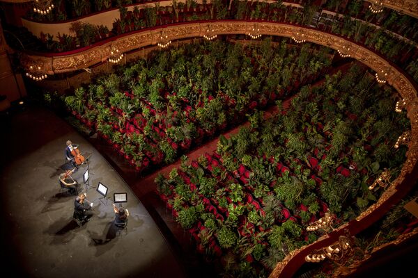 Музыканты репетируют в Gran Teatre del Liceu в Барселоне (Испания), где зрительные места заняты растениями  - Sputnik Кыргызстан