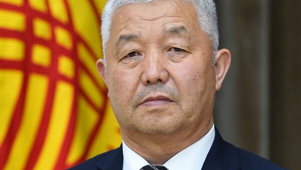 Директор Государственного агентства по земельным ресурсам Каныбек Ботобаев - Sputnik Кыргызстан