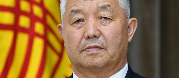 Директор Государственного агентства по земельным ресурсам Каныбек Ботобаев - Sputnik Кыргызстан