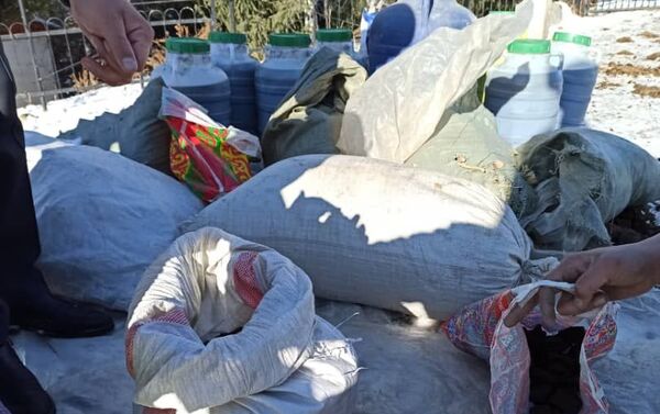 Сотрудники СБНОН МВД изъяли в Иссык-Кульской области около 400 килограммов гашиша и марихуаны - Sputnik Кыргызстан