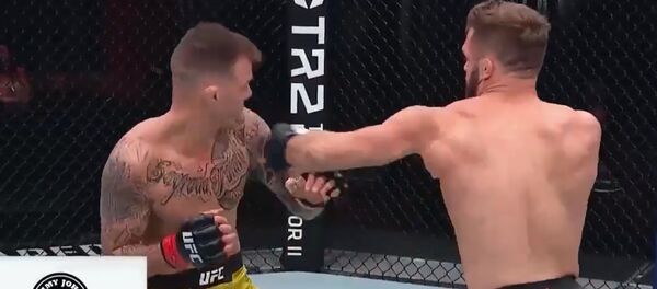 Красивый нокаут Физиева назван выступлением вечера — бонус $50 тысяч от UFC - Sputnik Кыргызстан