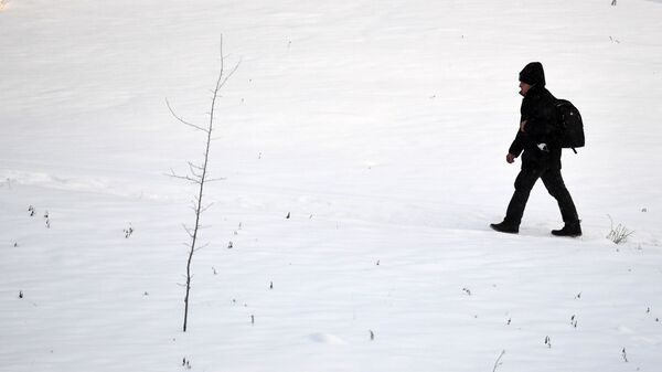 Погода в Новосибирске - Sputnik Кыргызстан