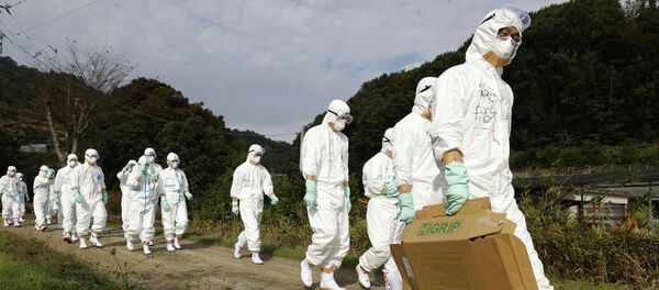 Птичий грипп в Хигасикагаве - Sputnik Кыргызстан