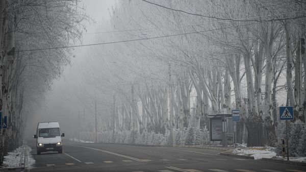 Аномальные холода в Бишкеке. Архивное фото - Sputnik Кыргызстан