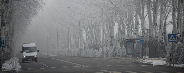 Иней на деревьях вдоль проспекта Чингиза Айтматова в период аномальных холодов в Бишкеке - Sputnik Кыргызстан