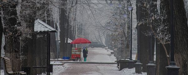 Иней на деревьях вдоль проспекта Эркиндик в период аномальных холодов в Бишкеке - Sputnik Кыргызстан