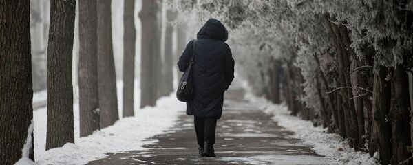 Көчөдө бараткан аял. Архив - Sputnik Кыргызстан