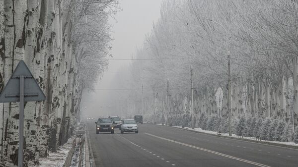 Автомобили на одной из улиц Бишкека в период аномальных холодов. Архивное фото - Sputnik Кыргызстан