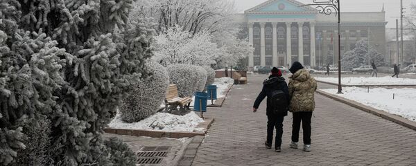 Мэрия Бишкека. Архивное фото - Sputnik Кыргызстан