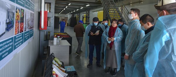 Ысык-Көлдөгү эт өндүргөн комбинат курулууда - Sputnik Кыргызстан