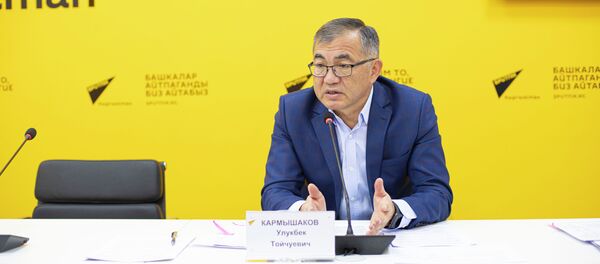 Заместитель министра финансов КР Улукбек Кармышаков - Sputnik Кыргызстан