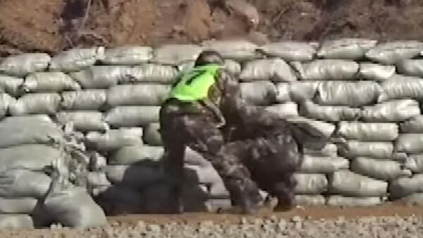 Инструктор за доли секунды спас уронившего боевую гранату новобранца. Видео - Sputnik Кыргызстан