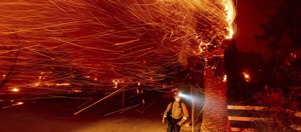 Калифорниядагы Сильверадо аймагында тилсиз жоо менен кармашып жүргөн өрт өчүрүүчү - Sputnik Кыргызстан