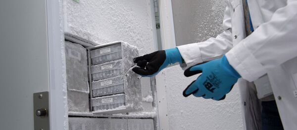 Сотрудник лаборатории открывает морозильную камеру. Архивное фото - Sputnik Кыргызстан