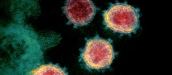 Коронавирус вызывающий COVID-19 - Sputnik Кыргызстан