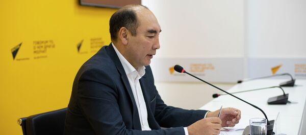 Директор ОАО Кыргызский энергетический расчетный центр Талайбек Байгазиев - Sputnik Кыргызстан