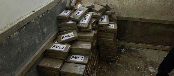 Унаасын талкалап кирип... Россияда 1 млрд. рублдик баңгизат менен кармаган видео - Sputnik Кыргызстан