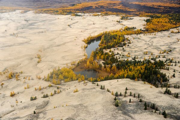 Вид на Чарские пески в Чарской долине Забайкальского края - Sputnik Кыргызстан