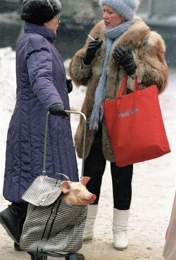 Жаңы жыл алдындагы Москва. Майрамдык дасторкон үчүн чочко сатып алган аял. 1987-жыл - Sputnik Кыргызстан
