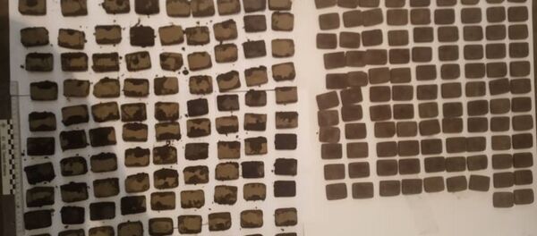 Изъятые наркотики в Токтогульском районе  - Sputnik Кыргызстан