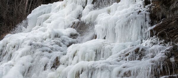 Тоңдурулган шаркыратма. Архив - Sputnik Кыргызстан