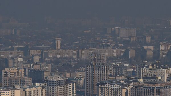 Вид на многоэтажные дома и здания в Бишкеке накрытые смогом. Архивное фото - Sputnik Кыргызстан