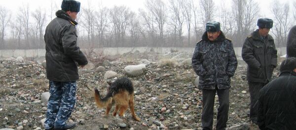 Расследования убийства девушки в Бишкеке - Sputnik Кыргызстан