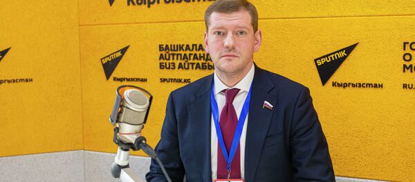 Член Комитета Государственной думы по труду, социальной политике и делам ветеранов Никита Березин - Sputnik Кыргызстан