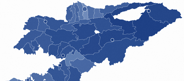 Шайлоонун алдын ала жыйынтыгы — райондор боюнча маалымат - Sputnik Кыргызстан