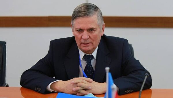 Глава миссии наблюдателей от СНГ, председатель совета Российского фонда свободных выборов Василий Волков - Sputnik Кыргызстан