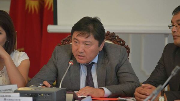 Статс-секретарь Минтранса Кыргызстана Эрмек Мамыркалиев  - Sputnik Кыргызстан